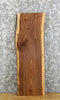 Thumbnail for Live Edge Black Walnut Charcuterie Board/Cheese Board Slab* 38002