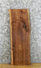 Thumbnail for Live Edge Black Walnut Charcuterie Board/Cheese Board Slab* 38002