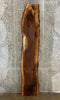 Thumbnail for Live Edge Bark Black Walnut Bar Top/Kitchen Table Top Slab 39000