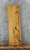 Thumbnail for Natural Edge White Oak Console Table Top Slab/ Floating Shelf 39022