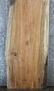 Thumbnail for Live Edge Maple Conference Table Top Slab, Solid Wood 39070