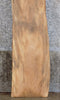 Thumbnail for Live Edge Sycamore Bar/Table Top/Headboard Slab CLOSEOUT 39072