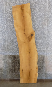 Thumbnail for Natural Edge White Oak Sofa Table Top Wood Slab CLOSEOUT 39144