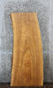 Thumbnail for Live Edge Maple Coffee Table Top Slab CLOSEOUT 39248