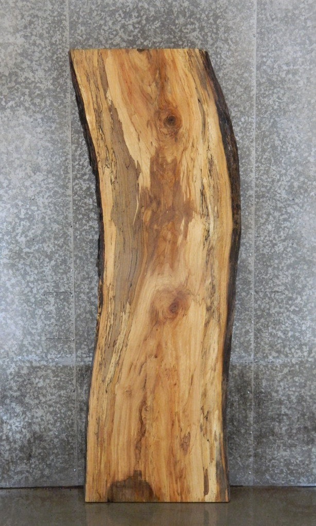 Live Edge Spalted Maple Bar/Table Top Wood Slab CLOSEOUT 39250