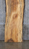 Thumbnail for Live Edge Spalted Maple Bar/Table Top Wood Slab CLOSEOUT 39250