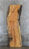 Thumbnail for Live Edge Spalted Maple Bar/Table Top Wood Slab CLOSEOUT 39250