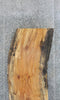 Thumbnail for Live Edge Spalted Maple Bar/Table Top Wood Slab CLOSEOUT 39250