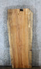 Thumbnail for Salvaged Live Edge Maple Conference Table Top Slab 39278