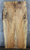 Thumbnail for 2- Bookmatched Live Edge Maple Conference Table Top Slabs 39302-39303