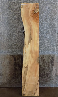 Thumbnail for Thick Cut Partial Live Edge Maple Salvaged Mantel Slab 39350