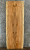 Thumbnail for 2- Live Edge Spalted Maple Dining Room/Conference Table Set 39438,39444