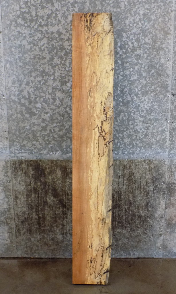 Salvaged Partial Live Edge Maple Mantel Slab/Lumber Board 40007