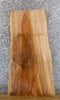 Thumbnail for Live Edge Sycamore Sofa/Coffee Table Top Wood Slab CLOSEOUT 4001