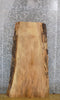 Thumbnail for Sycamore Rustic Coffee Table/Desk Top Wood Slab CLOSEOUT 40028