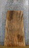 Thumbnail for Sycamore Rustic Coffee Table/Desk Top Wood Slab CLOSEOUT 40028