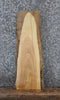 Thumbnail for Rustic Natural Edge Ash End Table Top 40029