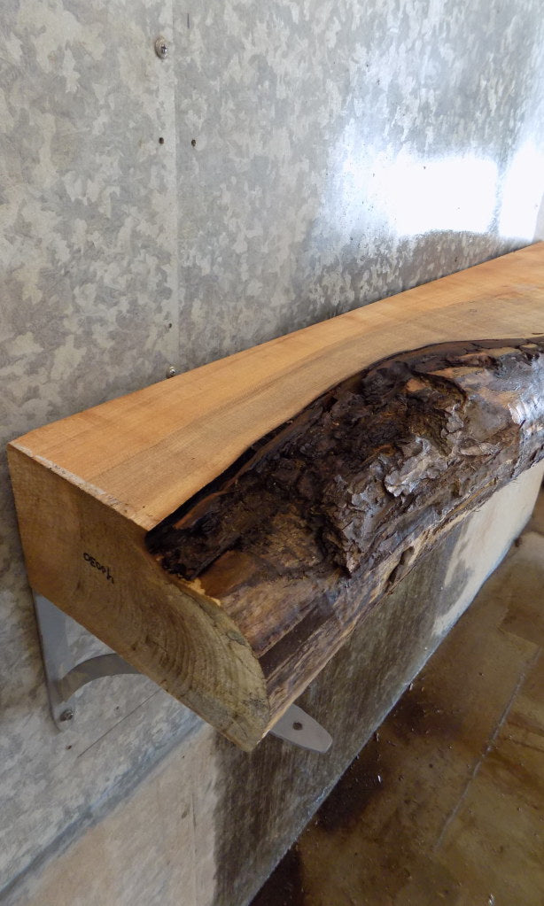 Partial Live Edge Salvaged Thick Cut Maple Mantel Wood Slab 40030