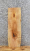 Thumbnail for Live Edge Maple Wall Shelf/End/Accent Table Top Slab 40040