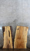 Thumbnail for 2- Live Edge Spalted Maple Coffee Table Tops 40059-40060