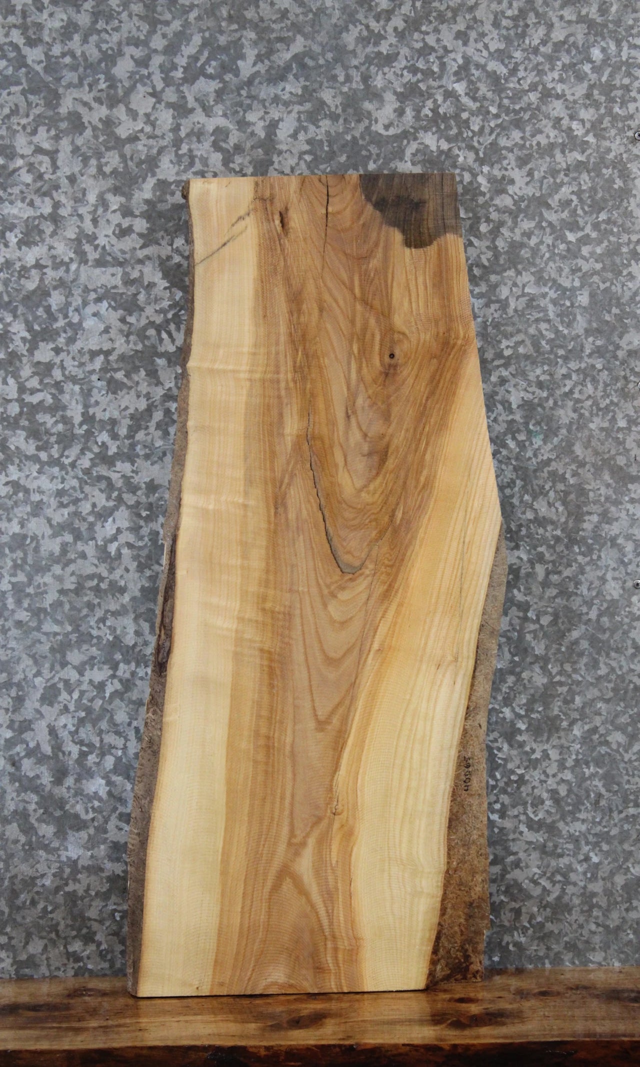 Salvaged Natural Edge Ash Taxidermy Mount Slab 40065