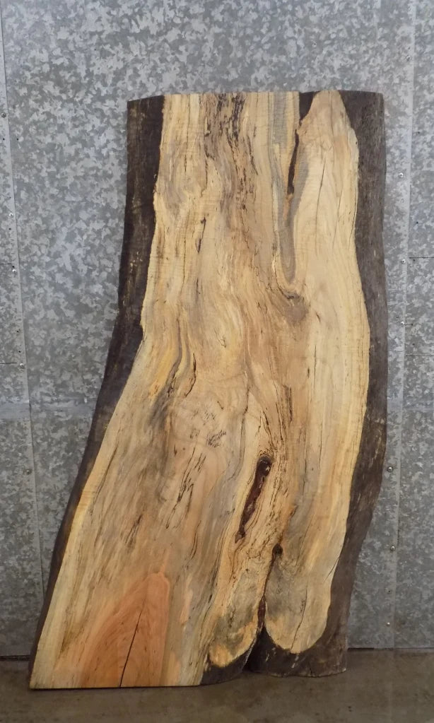 Live Edge Spalted Maple End/Coffee/Accent Table Top Slab 40081