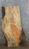 Thumbnail for Live Edge Spalted Maple End/Coffee/Accent Table Top Slab 40081