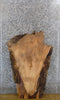 Thumbnail for Live Edge Sycamore Sofa/Coffee Table Top Slab CLOSEOUT 40101