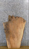 Thumbnail for Live Edge Sycamore Sofa/Coffee Table Top Slab CLOSEOUT 40101