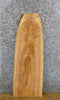 Thumbnail for Rustic Ash Natural Edge Sofa/Side/Accent Table Top Slab 40166