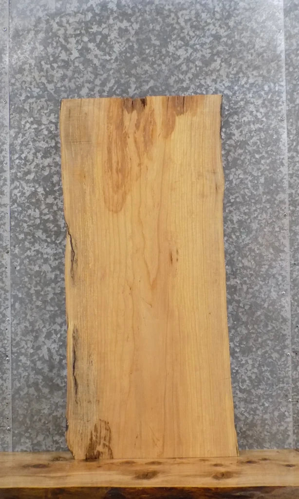 Live Edge Ash End/Accent/Coffee Table Top Slab 40208