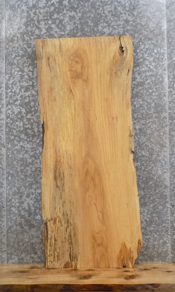 Live Edge Ash Mantle/Accent/Coffee Table Top Slab 40213