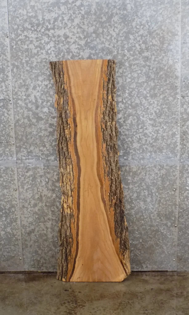 Live Edge Accent Table Top/Mantle/Wall Shelf Slab 40217