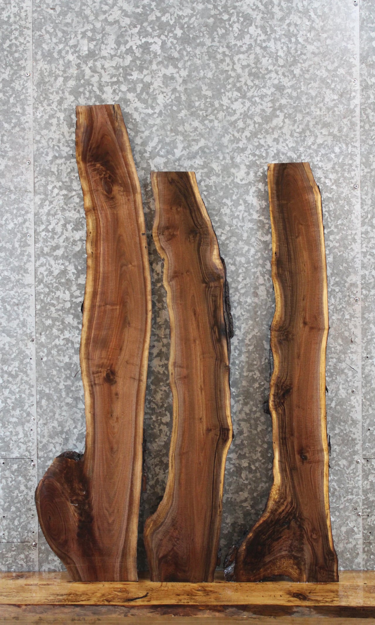 3- Black Walnut Natural Edge Taxidermy/Floating Shelf Slabs 40251-40253