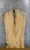 Thumbnail for Live Edge Spalted Maple Coffee Table Top Wood Slab CLOSEOUT 4026