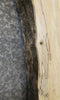 Thumbnail for Live Edge Spalted Maple Coffee Table Top Wood Slab CLOSEOUT 4026