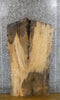 Thumbnail for Live Edge Spalted Maple Coffee Table Top Wood Slab CLOSEOUT 4026