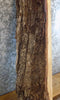 Thumbnail for White Oak Thick Cut Rustic Lumber Board/Mantel Wood Slab 40289