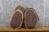 Thumbnail for 2- Salvaged Live Edge Black Walnut Oval Cut Taxidermy Base Slabs 40291-40292