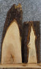 Thumbnail for 2- Rustic Maple Live Edge DIY Charcuterie Board Slabs 40302-40303