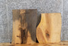 Thumbnail for 2- Live Edge Salvaged Ash Taxidermy Mount/Epoxy Project Slab 40304-40305