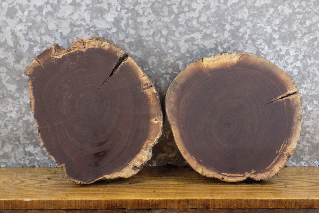 2- Black Walnut Round Cut Live Edge Rustic Centerpiece Slabs 40339-40340