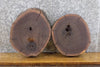 Thumbnail for 2- Black Walnut Live Edge Round Cut Salvaged Centerpiece Slabs 40372-40373