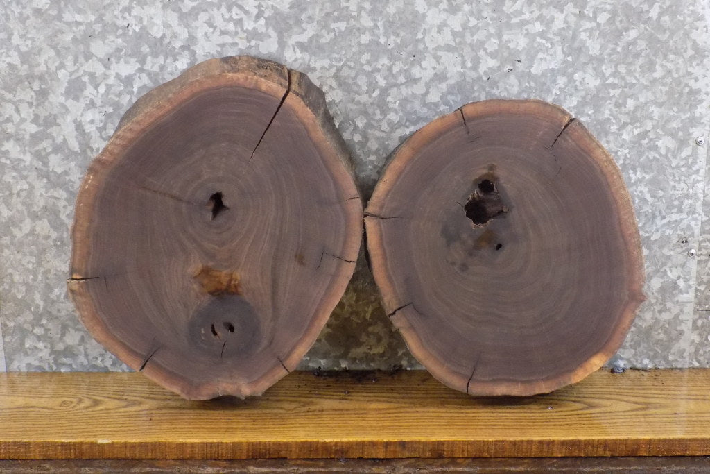 2- Black Walnut Live Edge Round Cut Salvaged Centerpiece Slabs 40372-40373