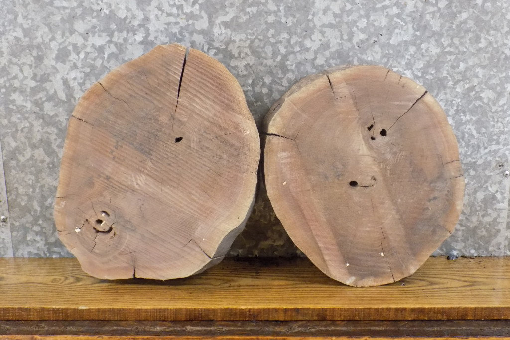 2- Black Walnut Live Edge Round Cut Salvaged Centerpiece Slabs 40372-40373