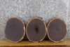 Thumbnail for 3- Round Cut Reclaimed Live Edge Black Walnut Clock Plaque Slabs 40440-40442