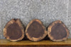 Thumbnail for 3- Salvaged Round Cut Live Edge Black Walnut Craft Pack Slabs 40460