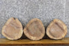 Thumbnail for 3- Salvaged Round Cut Live Edge Black Walnut Craft Pack Slabs 40460