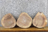 Thumbnail for 3- Reclaimed Round Cut Live Edge Black Walnut Craft Pack Slabs 40468