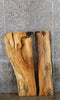 Thumbnail for 2- Spalted Maple Live Edge Split Board Slab Halves CLOSEOUT 4047